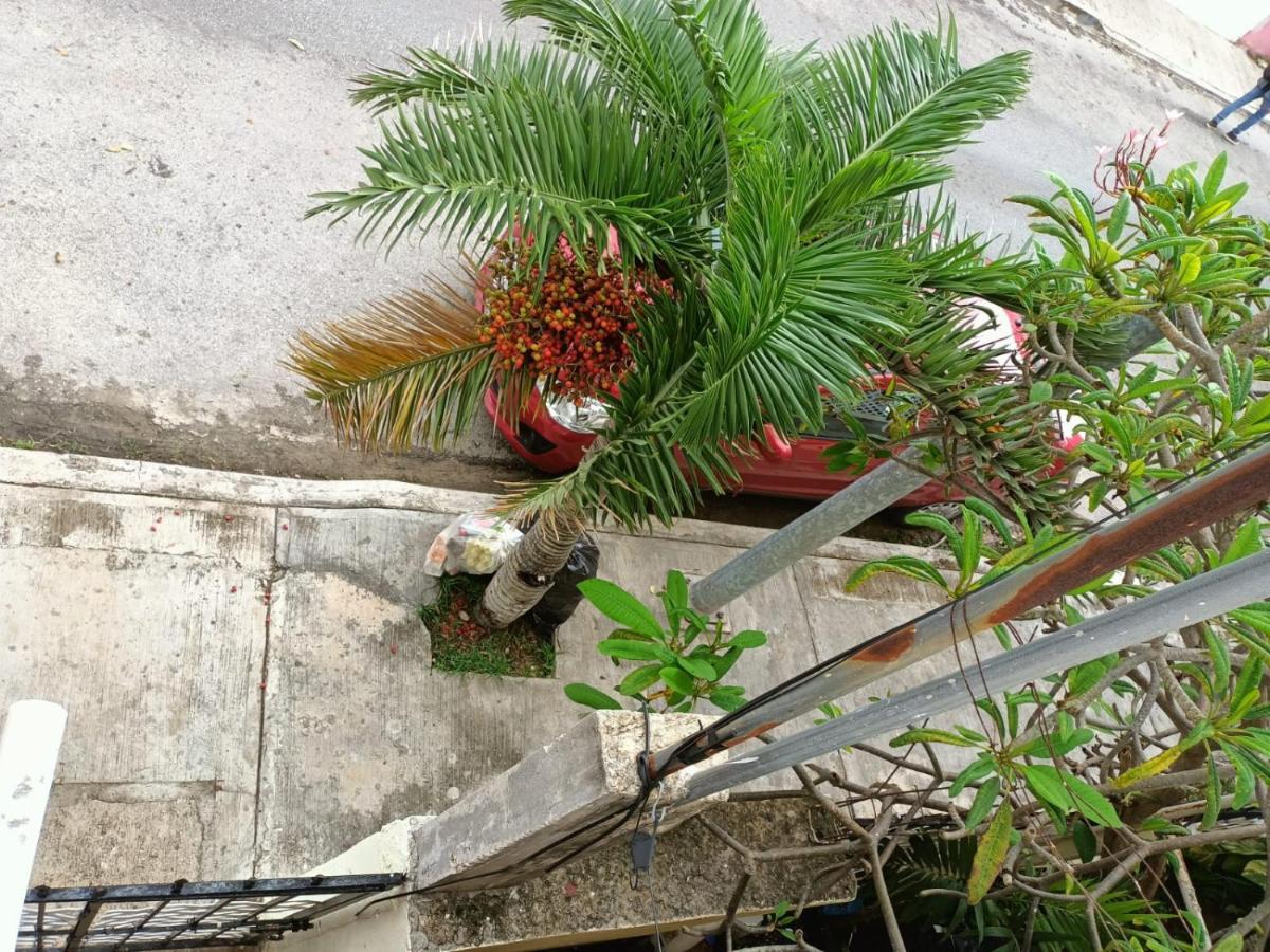 Appartement Colibri à Playa del Carmen Extérieur photo